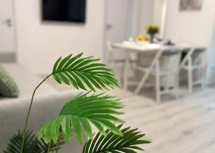 Urban Oasis With Private Terrace